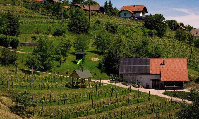 Srednje Grcevje House | Holiday home with sauna and wine cellar
