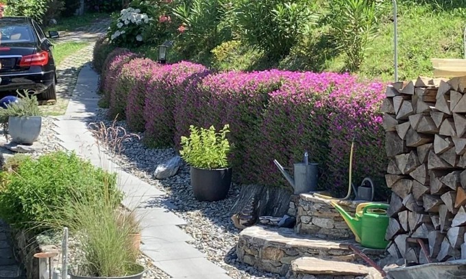 Bellinzona House | Holiday house Bellinzona for 1 - 4 persons with 1 bedroom - Detached holiday house