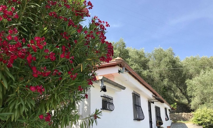 Diano San Pietro House | Holiday house Diano San Pietro for 1 - 4 persons - Holiday home