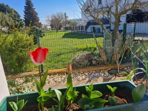 Sikici Apartment | Holiday House Lea