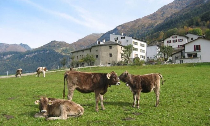 Poschiavo Apartment | Holiday house San Carlo for 2 - 12 persons with 3 bedrooms - Farmhouse