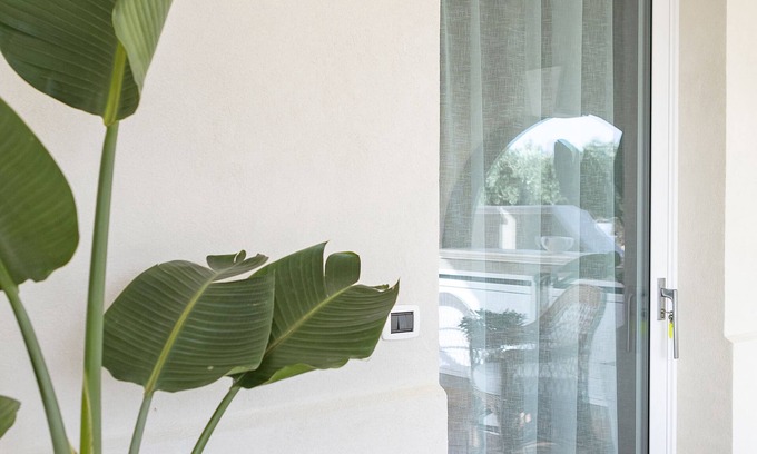 Petrosino Apartment | Holiday House the Vineyard