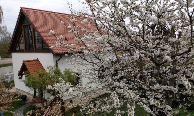 Erfurt House | Holiday house To the old driving school