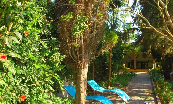 Ameal House | Holiday house Torres Vedras for 1 - 8 persons with 4 bedrooms - Holiday home
