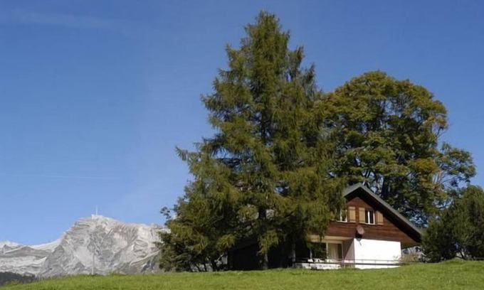 Wildhaus-Alt St. Johann House | Holiday house Wildhaus for 1 - 8 persons with 4 bedrooms - Holiday house