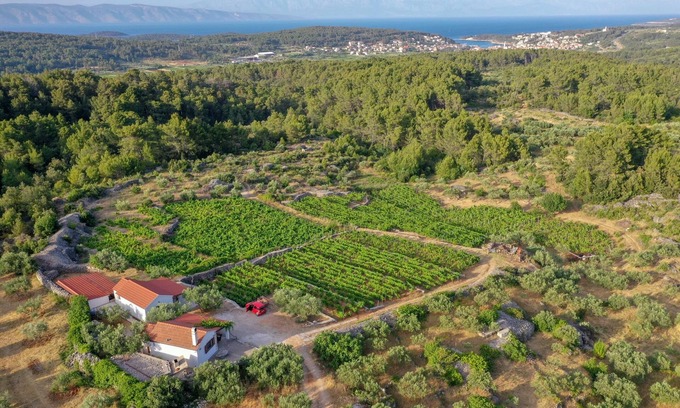 Pitve House | Holiday house with a parking space Pitve, Hvar (K-17397)