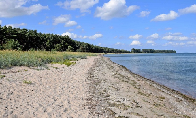 Reinberg Apartment | Holiday house with fireplace on the farm near Stahlbrode