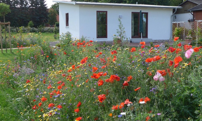 Goldenbek House | Holiday house with garden near the Baltic Sea