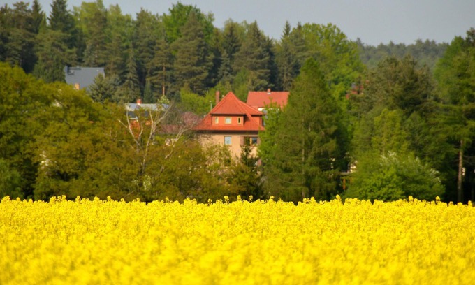 Dahlen Apartment | Holiday in the heart of Saxony in the Dahlen Heath between Leipzig and Dresden