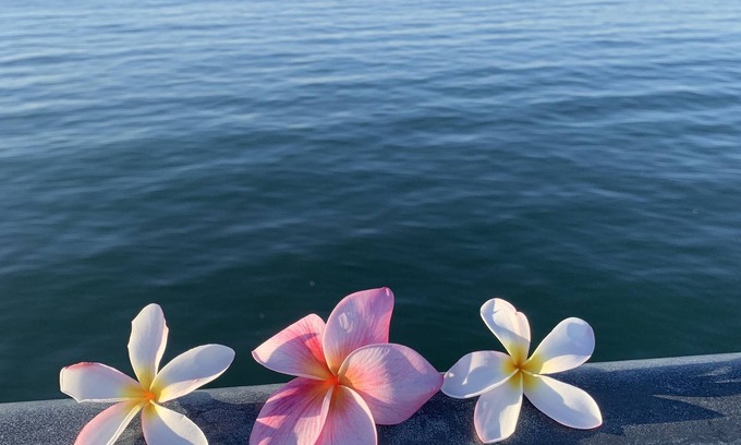 Old Towne Cottage | Holiday’s🎄@ Pineapple Cottage. Steps to Ocean.🌊RELAX & ENJOY 😎the beach.⛱️