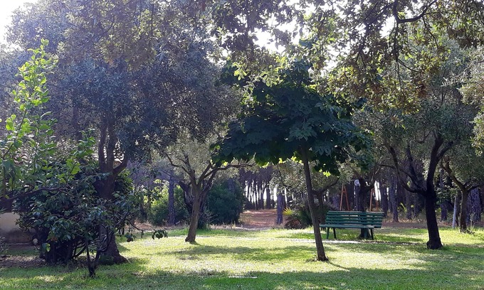 Matta 'e Peru House | HOLIDAY SPECIAL IN SARDINIA - 1