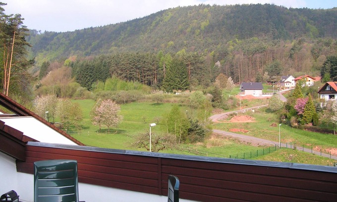 Schwanheim Apartment | Holiday Waldblick Schwanheim with large terrace and stunning views