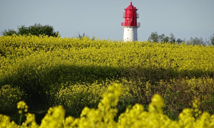 Pommerby Apartment | Holidays by the sea in a historic thatched house: WiFi, 2 Smart TVs, sauna from 2022