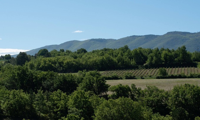 Caseneuve House | Holidays in Caseneuve in a vineyard