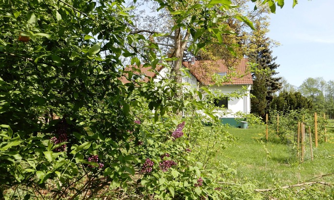 Burg-Dorf Apartment | Holidays in the center of the biosphere reserve Burg im Spreewald