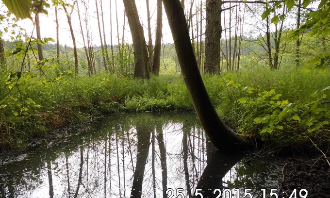 Storkow House | Holidays in wooded and water-rich surroundings - far away from stress and hectic