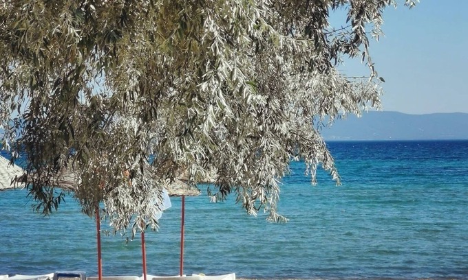 Gallipoli Hotel | Holifera Hotel