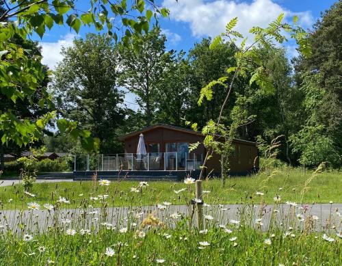 Ryther Cabin | Hollicarrs - Honeycomb Lodge