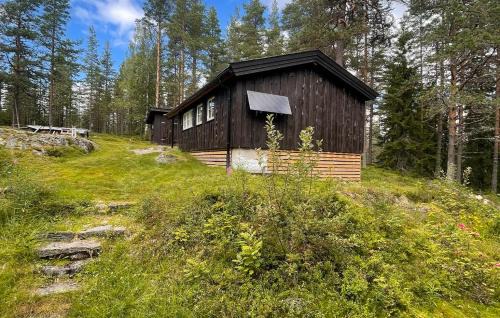 Asnes Municipality Other | Holmsjøhytta