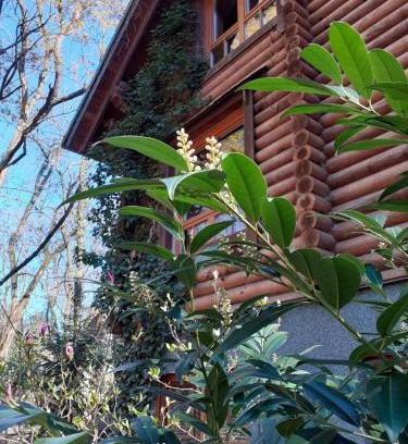 Kablow House | Holzhaus am See