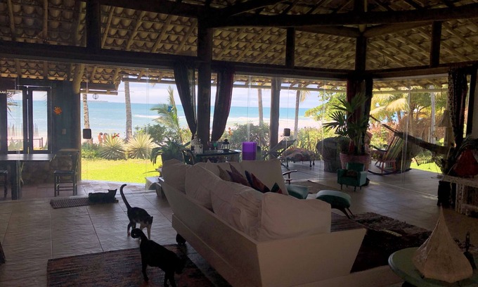Barra Grande House | Home Arts & Cats