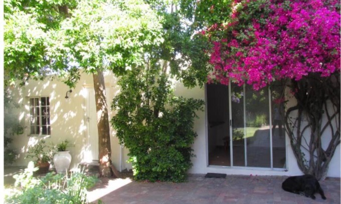 Pinelands Apartment | Home On Uitvlugt - Peaceful leafy garden flat with sunny lounge