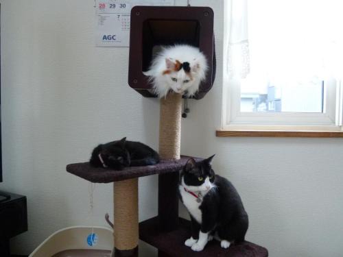 Otaru House | Home Yasuda