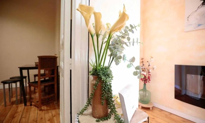 Valladolid City Centre Apartment | Homerez - Apartment in Valladolid