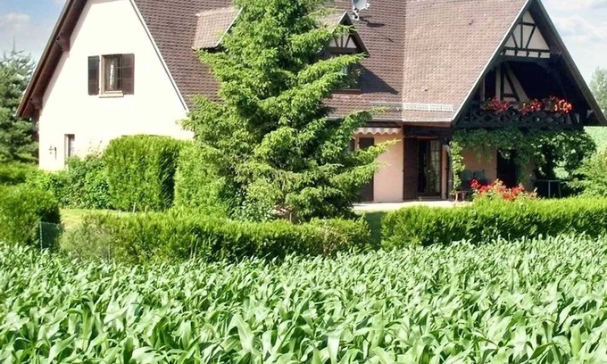 Hochfelden Apartment | Homerez - Charming Apartment in Hochfelden - 100 m² and Free Parking