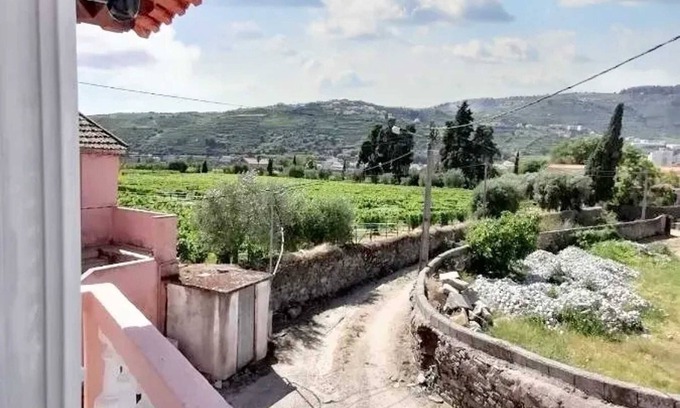 Lamego House | Homerez - Comfortable House in Lamego with Unfenced Garden