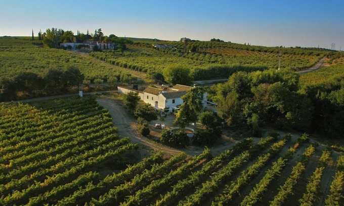 Montilla Villa | Homerez - Elegant Villa in Montilla with Private Pool