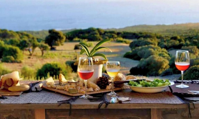 Bolonia House | Homerez - House in El Chaparral