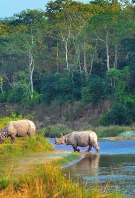 Namarjung House | Homestay and Trip Organiser