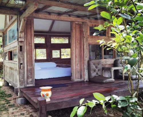Kalipuro House | Homestay Ijen Lemon House
