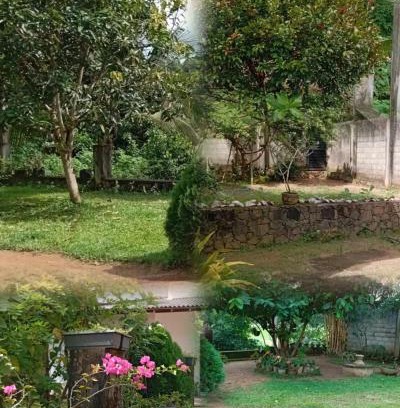 Welipitiya House | Homestay in Naturals Village