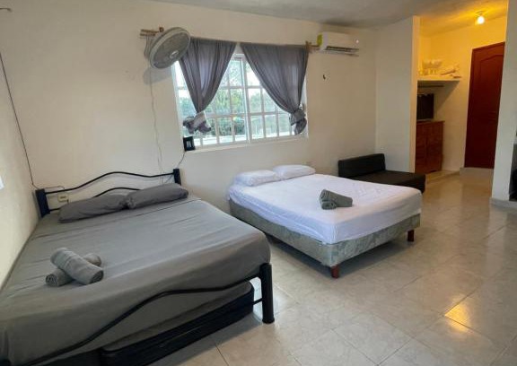 Colonia Centro Apartment | Homey studio in the CENTRO of town !