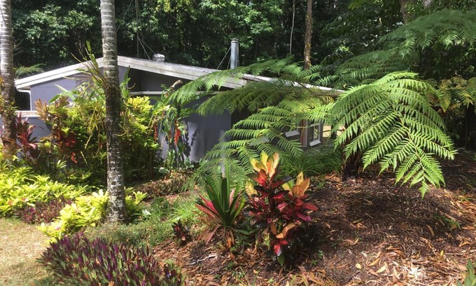 Speewah House | Honeybee House