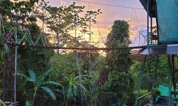 Parrita House | Honeymoon Treehouse