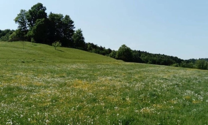 Sankt Marein bei Graz Other | Horse farm in Eastern Styria