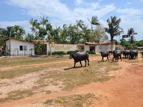 Soure House | Hospedagem e queijaria Péua