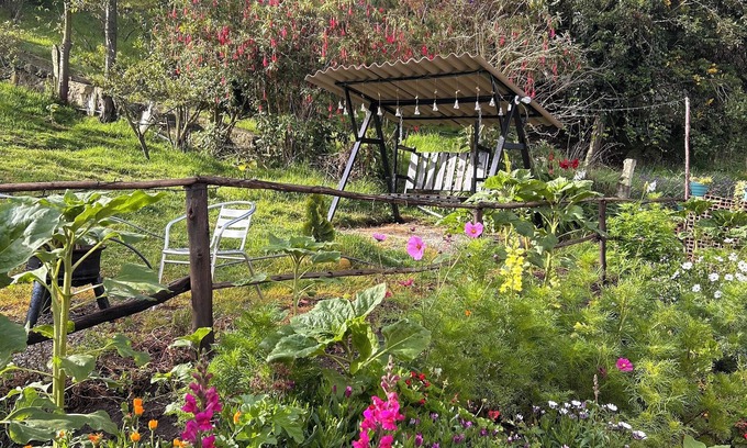 Mongui Hotel | Hospedaje villa rosita