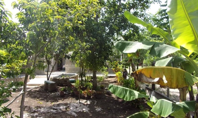 Municipality of Cienaga de Zapata House | Hostal Casa Cocodrilo