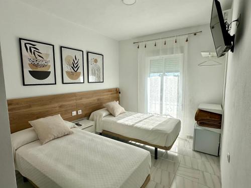 Jedula House | Hostal Merino Jédula