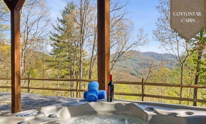 Waynesville Cabin | Hot tub, table tennis, arcade games, fire pit.