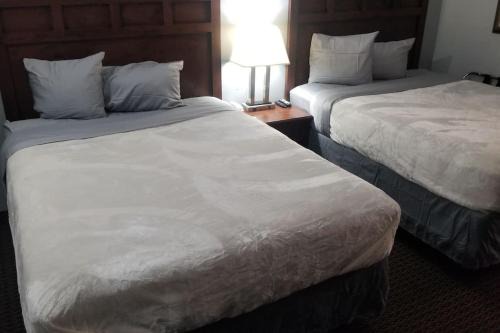 Stillwater Apartment | Hotel 2 Queen Beds Hotel Room 220 Booking