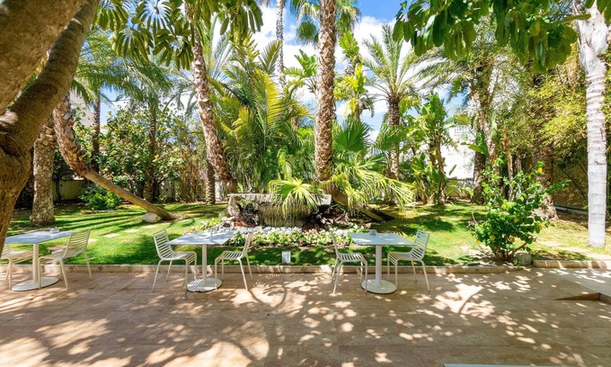Torrellano Hotel | Hotel Areca