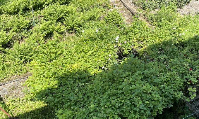 Aachen Hotel | Hotel Baccara