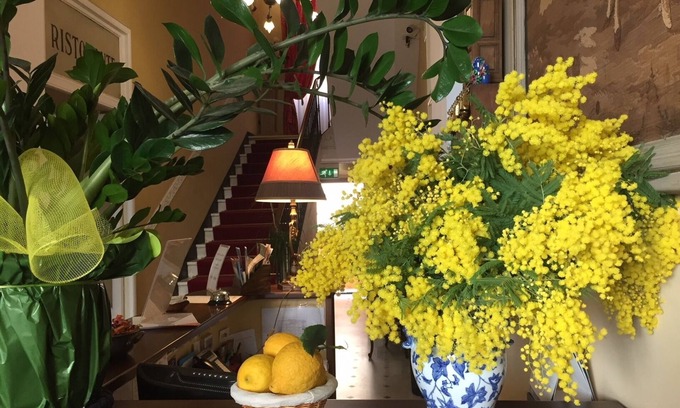 Sanremo Centre Hotel | Hotel Belle Epoque