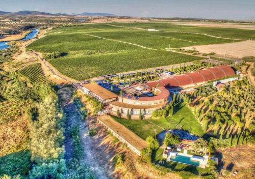 Ciudad Real Hotel | Hotel Bodega Pago del Vicario