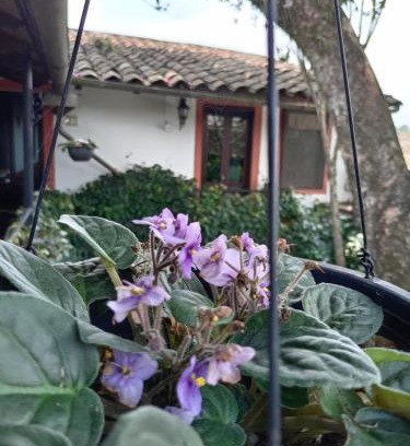 Coatepec Hotel | Hotel Boutique Casabella